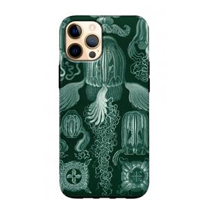 CaseCompany Haeckel Cubomedusae: iPhone 12 Pro Max Tough Case