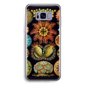 CaseCompany Haeckel Ascidiae: Samsung Galaxy S8 Plus Transparant Hoesje