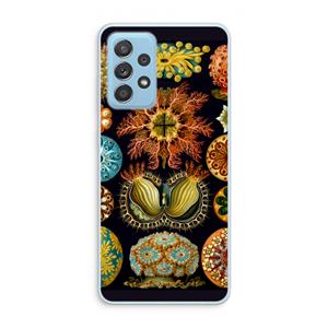 CaseCompany Haeckel Ascidiae: Samsung Galaxy A73 Transparant Hoesje