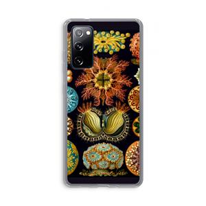 CaseCompany Haeckel Ascidiae: Samsung Galaxy S20 FE / S20 FE 5G Transparant Hoesje