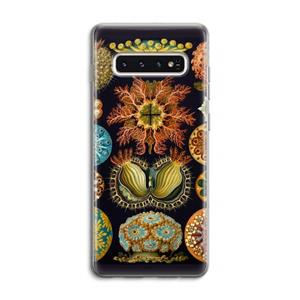 CaseCompany Haeckel Ascidiae: Samsung Galaxy S10 4G Transparant Hoesje