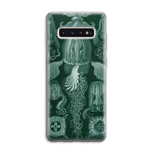 CaseCompany Haeckel Cubomedusae: Samsung Galaxy S10 4G Transparant Hoesje