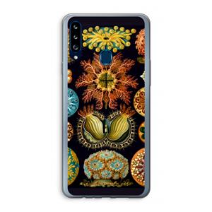 CaseCompany Haeckel Ascidiae: Samsung Galaxy A20s Transparant Hoesje