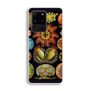 CaseCompany Haeckel Ascidiae: Samsung Galaxy S20 Ultra Transparant Hoesje