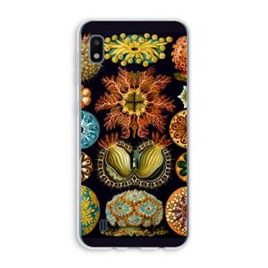 CaseCompany Haeckel Ascidiae: Samsung Galaxy A10 Transparant Hoesje