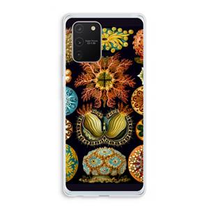 CaseCompany Haeckel Ascidiae: Samsung Galaxy S10 Lite Transparant Hoesje