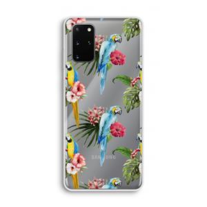 CaseCompany Kleurrijke papegaaien: Samsung Galaxy S20 Plus Transparant Hoesje