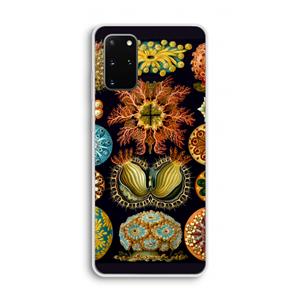 CaseCompany Haeckel Ascidiae: Samsung Galaxy S20 Plus Transparant Hoesje