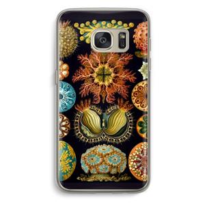 CaseCompany Haeckel Ascidiae: Samsung Galaxy S7 Transparant Hoesje