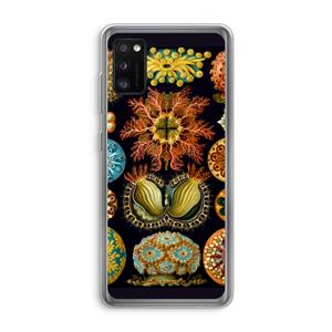 CaseCompany Haeckel Ascidiae: Samsung Galaxy A41 Transparant Hoesje