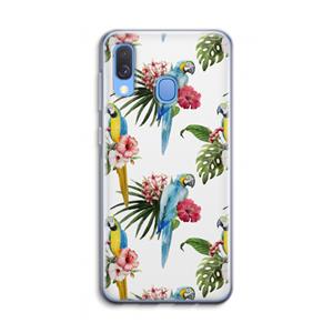 CaseCompany Kleurrijke papegaaien: Samsung Galaxy A40 Transparant Hoesje