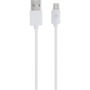RealPower USB-kabel USB 2.0 USB-A stekker, Apple Lightning stekker 1.00 m Wit 255649