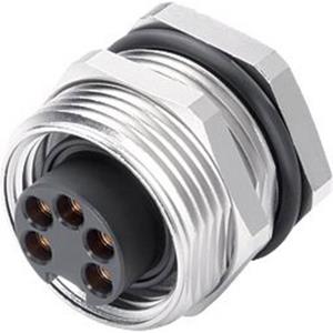 Binder 09 2450 180 05 Bus, recht, Flensbus Serie (ronde connectors): 820 Totaal aantal polen: 5 + PE 20 stuk(s)