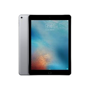 Apple iPad Pro 9.7 (2016) 1e generatie 256 Go - WiFi - Spacegrijs
