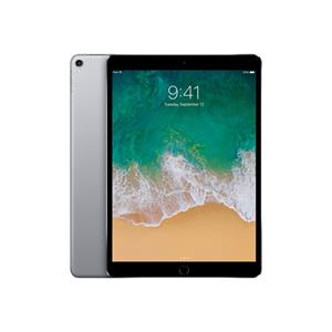 Apple iPad Pro 10.5 (2017) 1e generatie 256 Go - WiFi - Spacegrijs