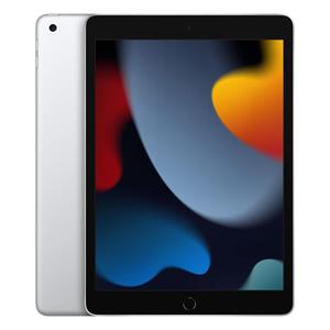 Apple iPad 10.2 (2021) 9e generatie 64 Go - WiFi + 4G - Zilver