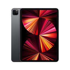 Apple iPad Pro 11 (2021) 3e generatie 2000 Go - WiFi - Spacegrijs