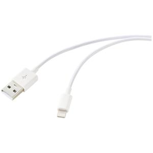 Renkforce USB-kabel USB 2.0 USB-A stekker, Apple Lightning stekker 1.00 m Wit (bevroren) RF-5724084