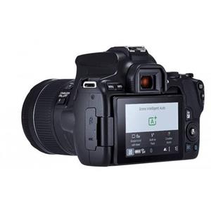 Canon Spiegelreflexcamera -  EOS 250D Zwart + Lens  EF-S 18-55mm f/4-5.6 IS STM