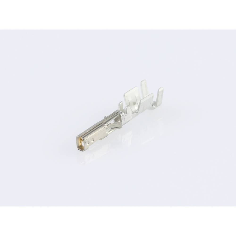 Molex Micro-Fit Crimpkontakt 430300012  Inhoud: 1 stuk(s)