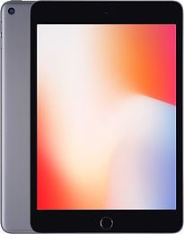 Apple iPad mini 5 7,9 256GB [Wi-Fi] spacegrijs - refurbished