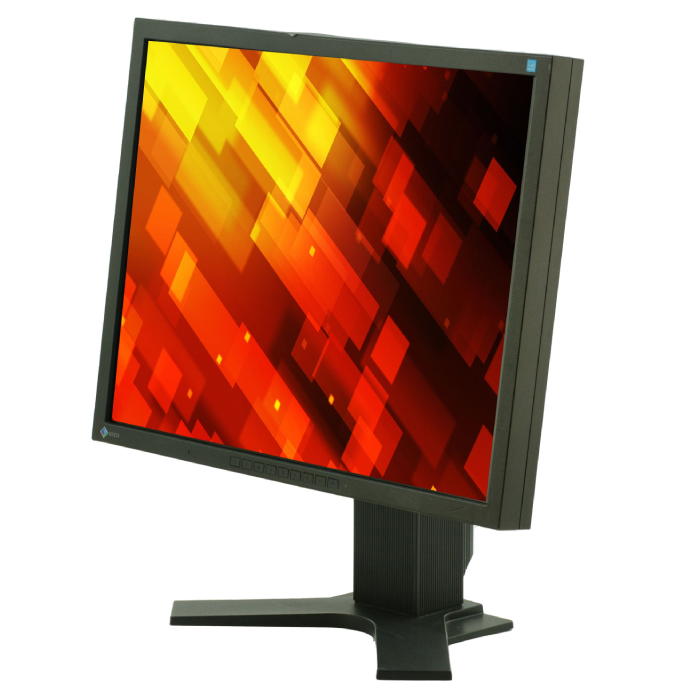 EIZO FlexScan S2133 - 21 inch - 1600x1200 - DP - DVI - VGA - Zwart