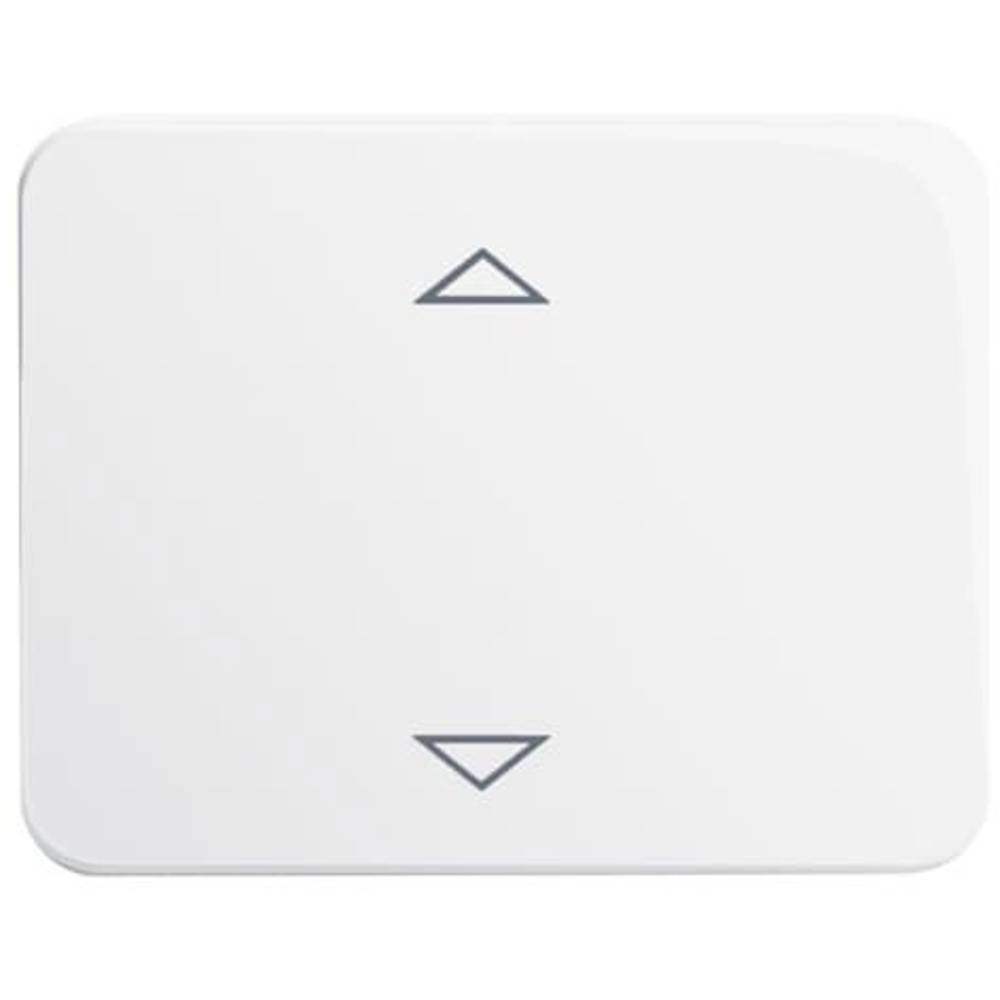 Busch-Jaeger 6430-24G-102 Ingangsmodule ↑/↓ Wit, Verkeerswit 1 stuk(s)