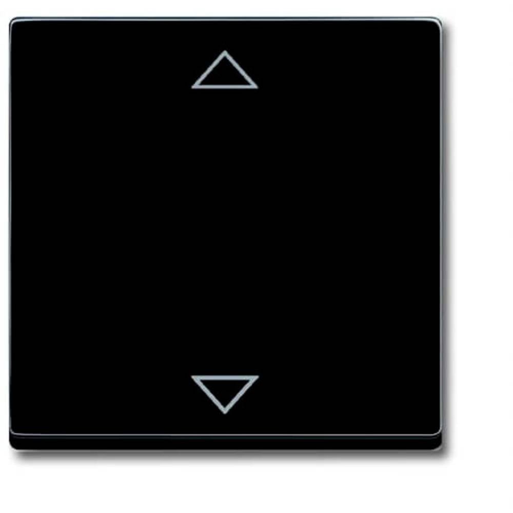 Busch-Jaeger Sonstiger Schalter/Taster Ingangsmodule ↑/↓ Diepzwart (RAL 9005), Zwart 1 stuk(s)