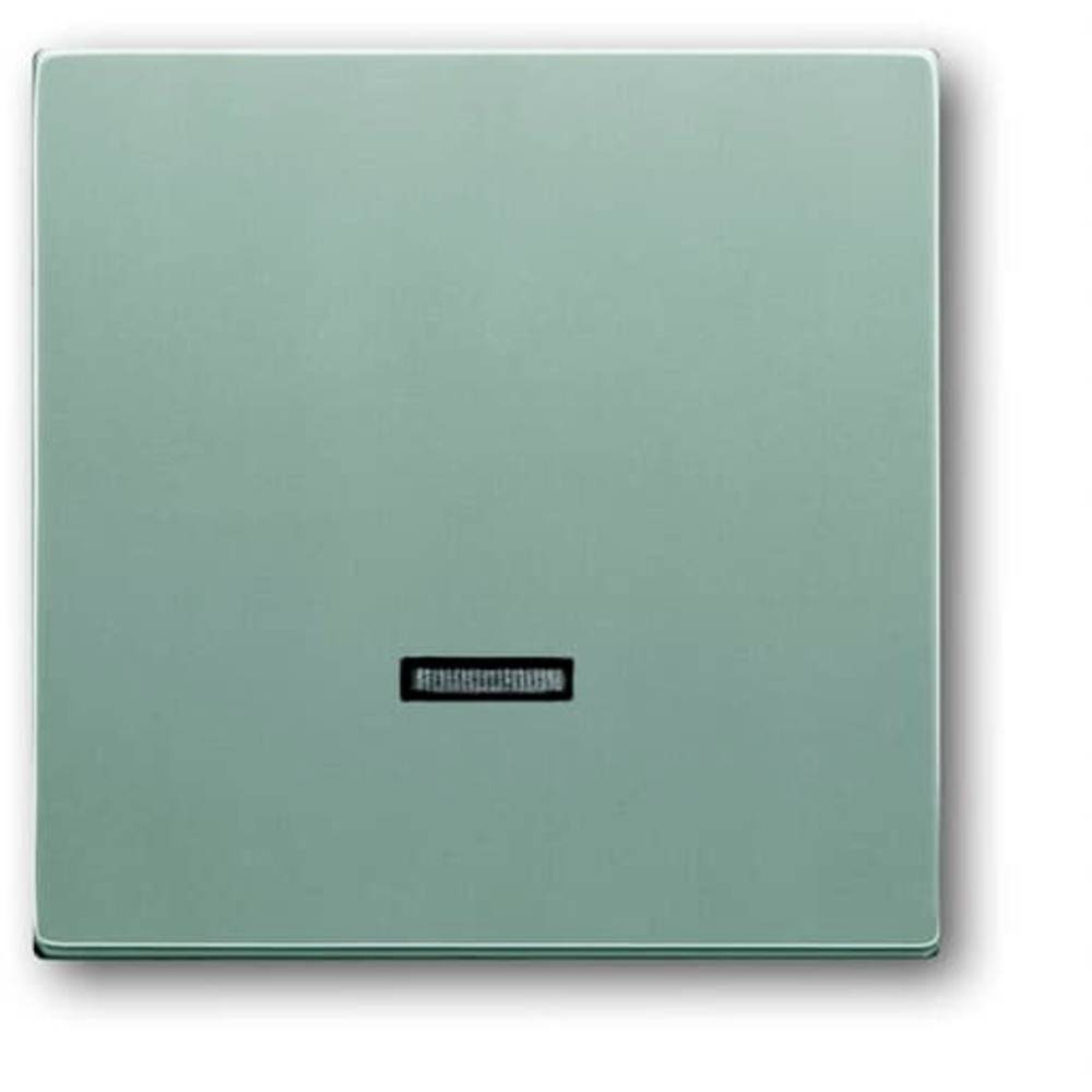 Busch-Jaeger 6543-83-101 Ingangsmodule Zonder opdruk Aluminium, Witaluminium (RAL 9006) 1 stuk(s)