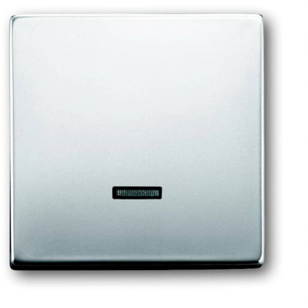 Busch-Jaeger 6543-866-101 Ingangsmodule Zonder opdruk RVS 1 stuk(s)
