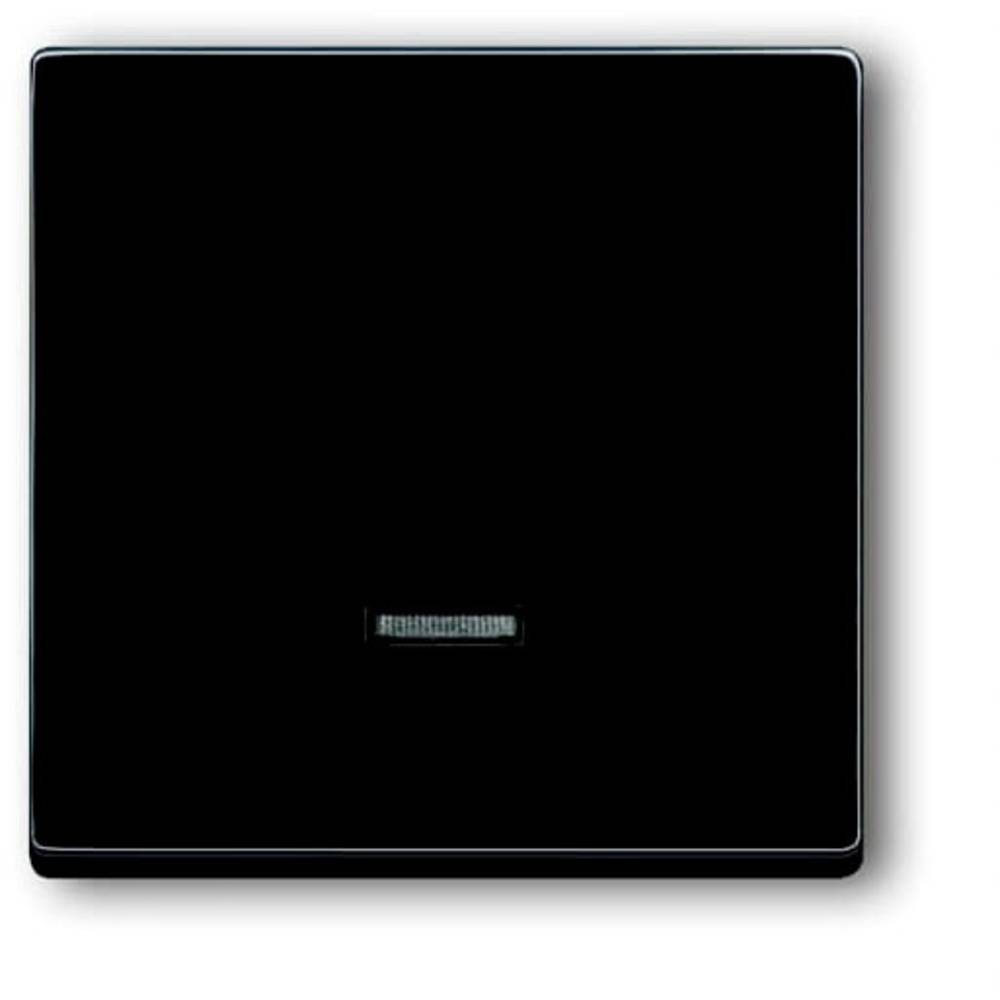 Busch-Jaeger 6543-81-101 Ingangsmodule Zonder opdruk Antraciet, Zwart-grijs 1 stuk(s)