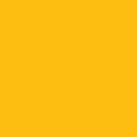 Falcon Eyes Superior Achtergrondpapier 14 Forsythia Yellow 1,35 x 11m