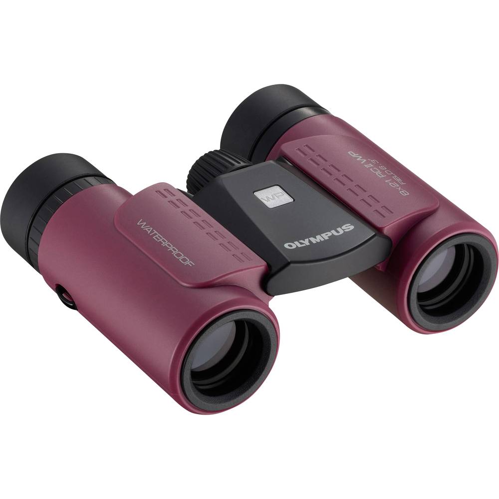 Olympus Verrekijker Fernglas 8 x 21 mm Dakkant V501013RE000
