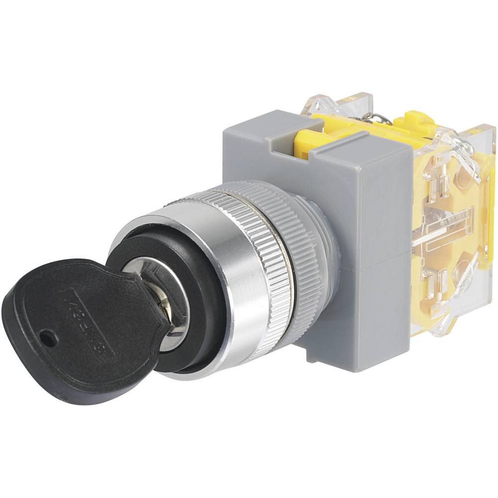 TRU COMPONENTS Y090-A-11Y/23 Sleutelschakelaar 250 V/AC 5 A uit/aan 1 x 90 ° IP40 1 stuk(s)