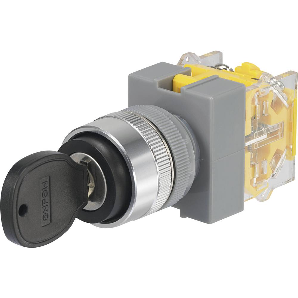 TRU COMPONENTS Y090-A-20Y/33 Sleutelschakelaar 250 V/AC 5 A 2x uit/(aan) 2 x 45 ° IP40 1 stuk(s)