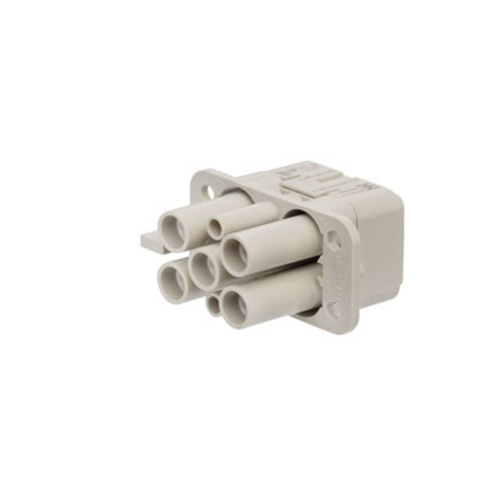 Weidmüller 1003160000 Pin-inzetstuk RockStar HDC HQ 4 + 2 + PE Crimpen 1 stuk(s)