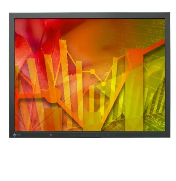 EIZO FlexScan S2133 - 21 inch - 1600x1200 - DP - DVI - VGA - Wit - Zonder voet