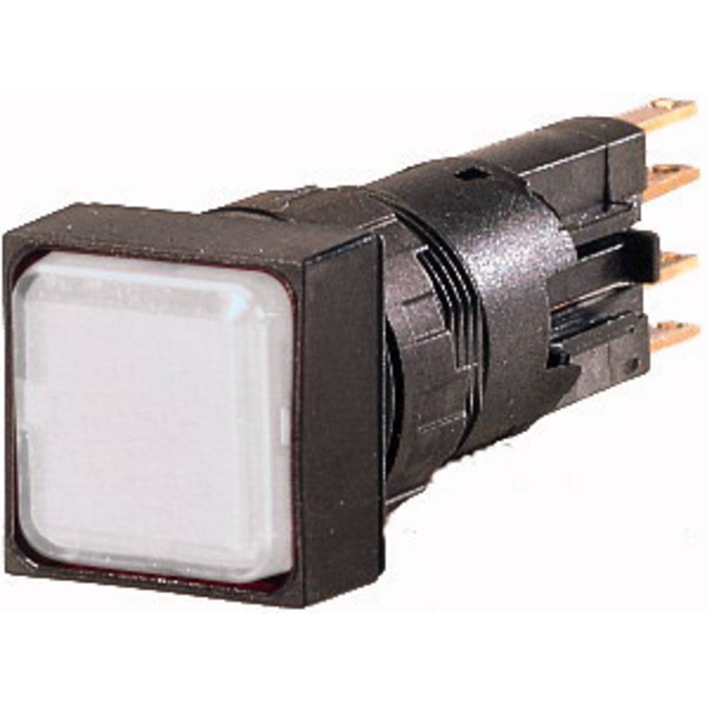 Eaton Q18LF-WS/WB Verlichte melder Wit 24 V/AC 1 stuk(s)