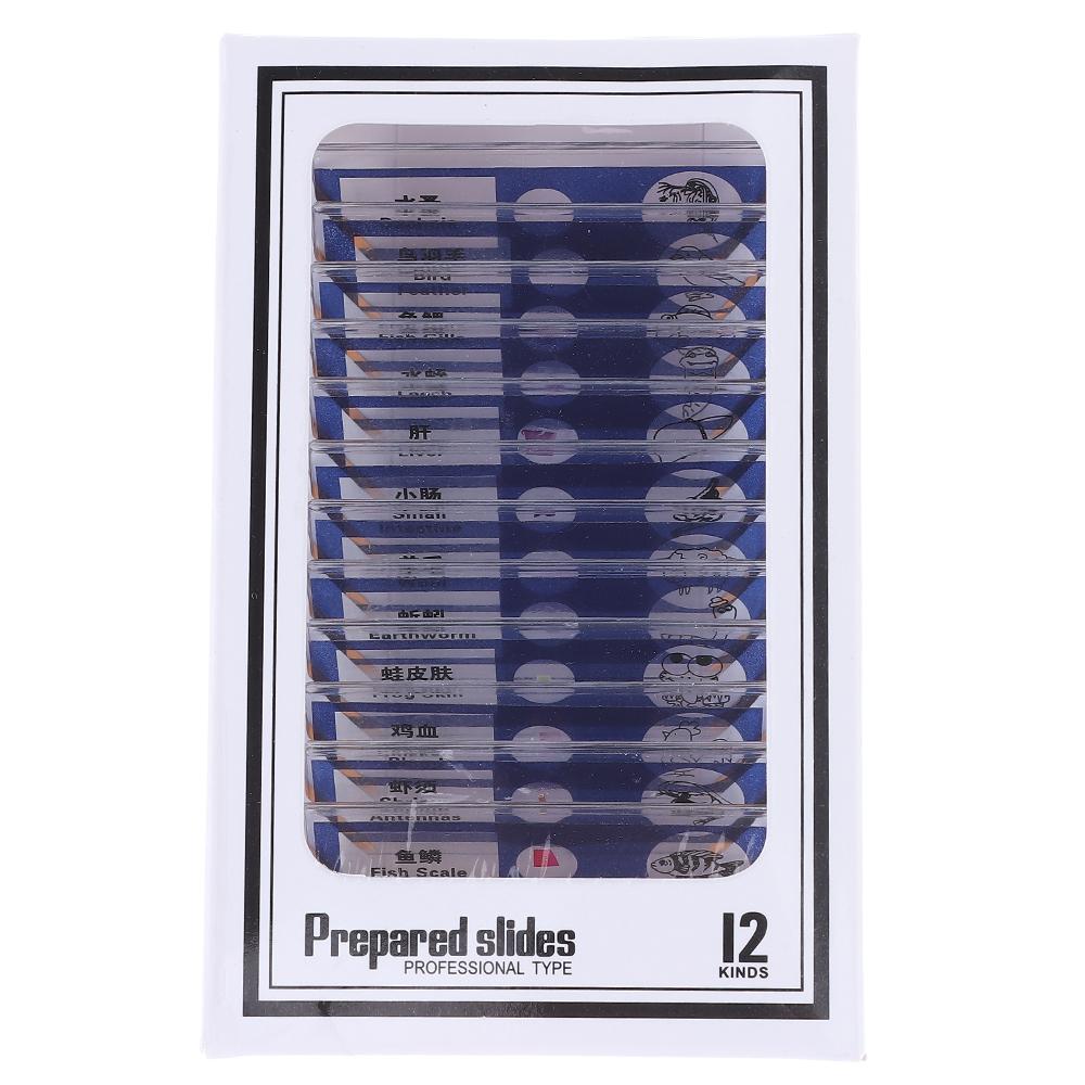 SHuaixin11 Sample Specimens Microscope Slides Plastic Microscope Sample Prepared Slides Easy to install   Kids Yellow