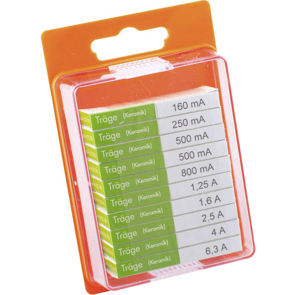 ESKA 122.850 122850 Buiszekering assortiment (Ø x l) 5 mm x 20 mm Traag -T- Inhoud 100 stuk(s)