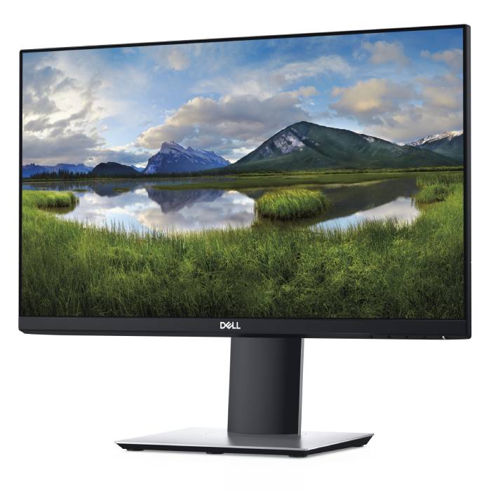 Dell Professional P2219H - 22 inch - 1920x1080 - DP - HDMI - VGA - Zwart