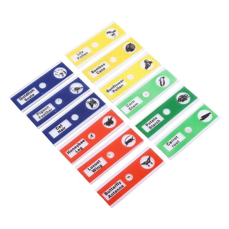 Eeasybuyer 12 stuks plastic voorbereide microscoopglaasjes dieren insecten bloemen planten veelkleurig