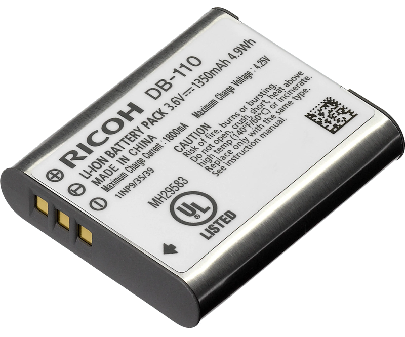 Ricoh DB-110