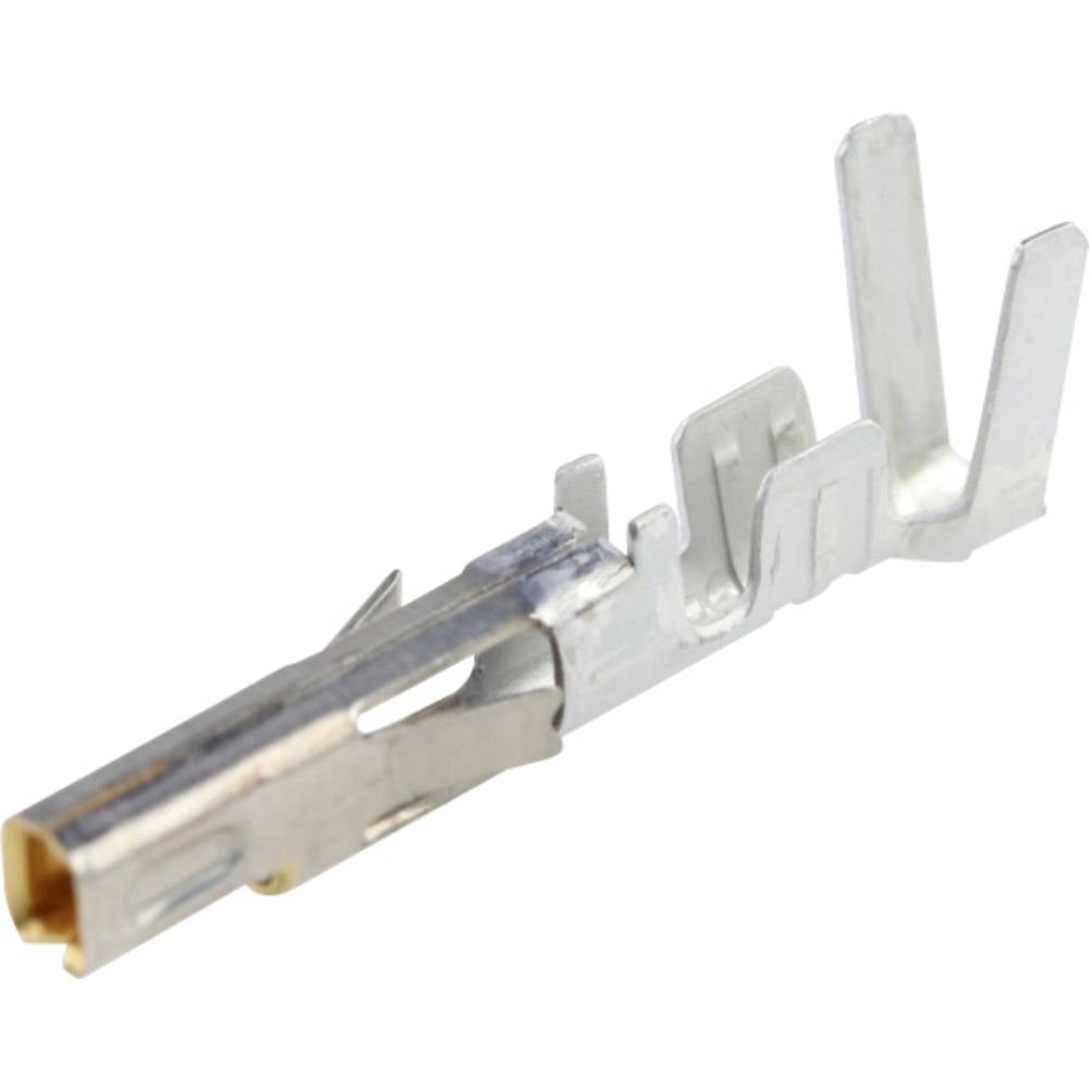 Molex MINIFIT 460182541  Inhoud: 1 stuk(s)