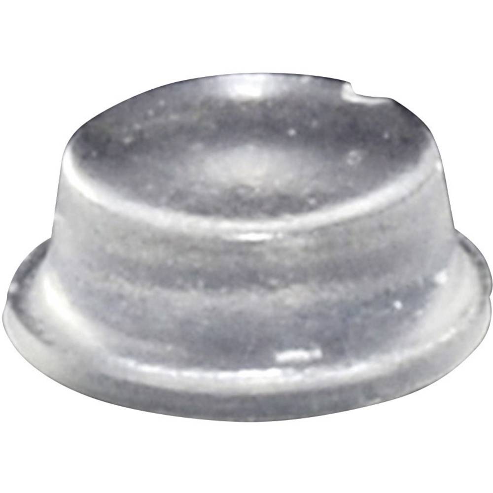 TOOLCRAFT PD2104C Apparaatvoet Zelfklevend, Rond Transparant (Ø x h) 10 mm x 4 mm 1 stuk(s)