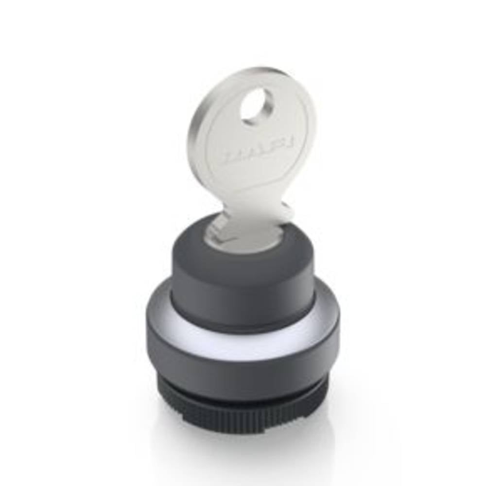 RAFI 1.30.275.322/0000 X 22 FS+ Sleutelschakelaar 1 x 90 ° 1 stuk(s)