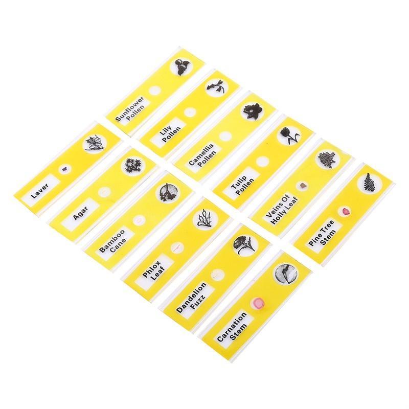 Eeasybuyer 12 stuks plastic voorbereide microscoopglaasjes dieren insecten bloemen planten