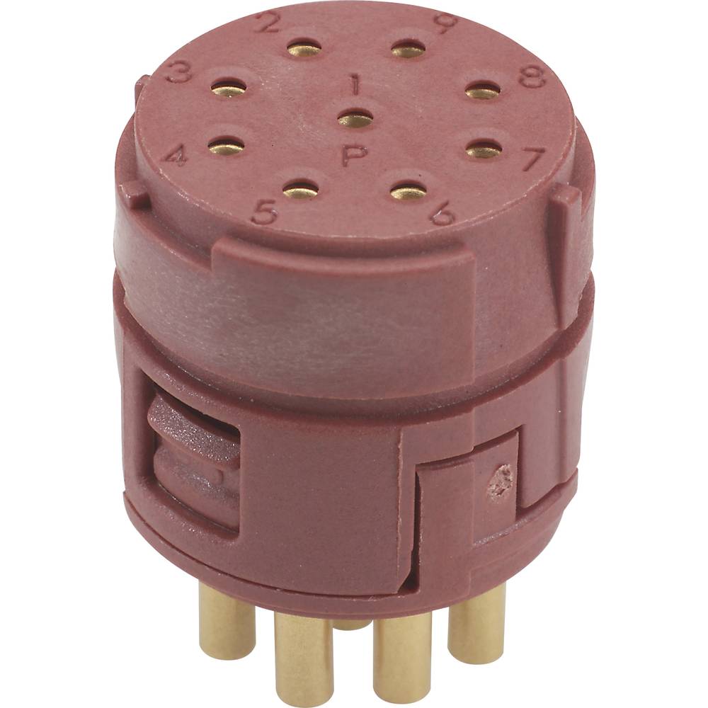 LAPP EPIC Signal M23 P-inzetstukken, 9-polig 73002729  Zubehör  Inhoud: 20 stuk(s)