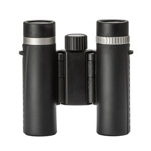 Bynolyt Lark 10x25