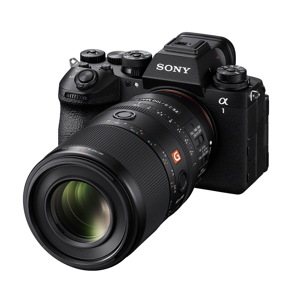 Sony FE 100mm F2.8 Macro GM OSS